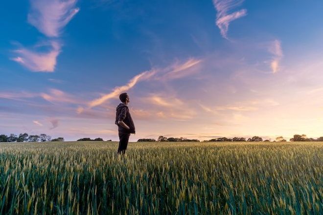 Man standing in field of corn looking up at a beautiful blue and pink sunset sky.