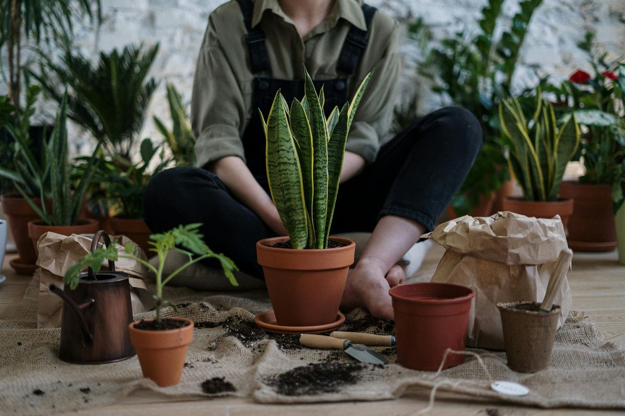 Someone in overalls sat on the floor, surrounded by potted plants and spilled soil.