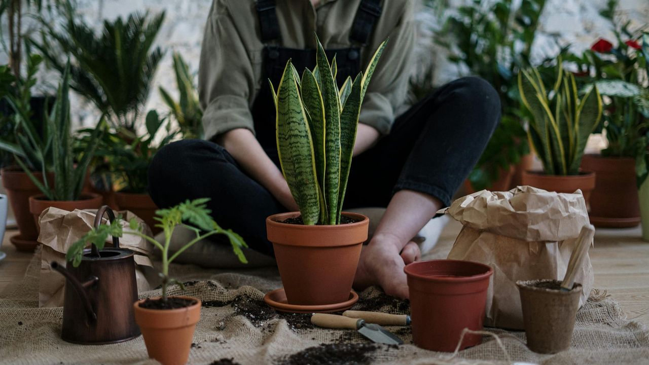 Someone in overalls sat on the floor, surrounded by potted plants and spilled soil.