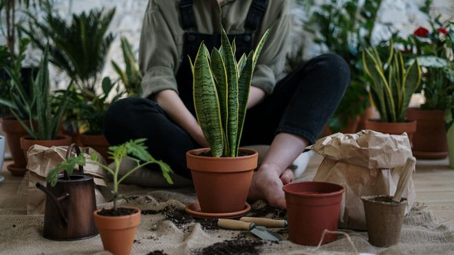 Someone in overalls sat on the floor, surrounded by potted plants and spilled soil.