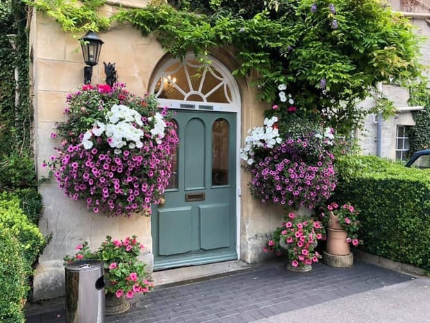 A doorway with large hanging baskets of pink and white flowers, privet hedging and green foliage