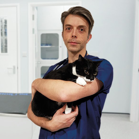 Dan Makin , Joint Venture Partner & Veterinary Surgeon, Vets for Pets
